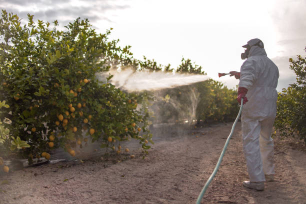 Wildlife Control Services in Wauwatosa, WI